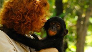 image de la news Sauvez les bonobos grâce à votre profil Facebook