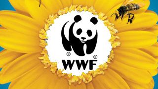 image de la news Des recettes de "Pollen" reversées à la WWF !