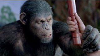 image de la news Box-office : les singes solides au poste !