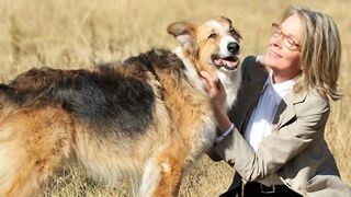 image de la news Bande-annonce: "Darling Companion" [VIDEO]