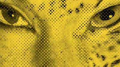 image de la news Le 65ème Festival de Locarno, c'est parti !