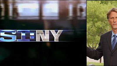 image de la news Peter Horton dans "Les Experts : Manhattan"