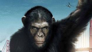 Matt Reeves réalisera la suite de "La Planète des singes : les origines"