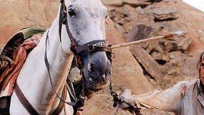 image de la news Un "Don Quichotte" produit par Johnny Depp pour Disney... sans Terry Gilliam !