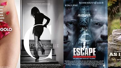 image de la news Le plein d'affiches : Schwarzy a un plan d'évasion, Woody est un Mac...