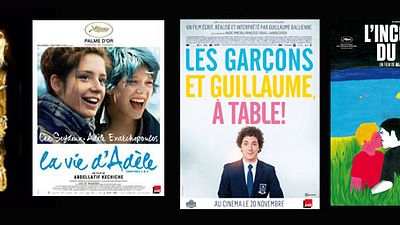 image de la news César 2014 : "Les Garçons et Guillaume" devant "La Vie d'Adèle", Julie Gayet nommée, les grands absents...