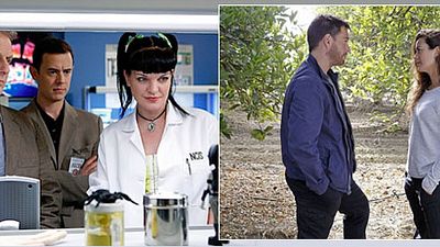 image de la news "NCIS" : la saison 11 et le départ de Ziva sur M6
