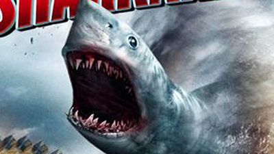 image de la news "Sharknado 2" : les requins attaquent New-York la semaine prochaine !