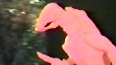 image de la news Predator : les essais kitsch de Van Damme pour jouer la créature !