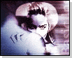image de la news Greenwood lâche "Basic Instinct 2"