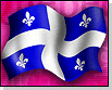 image de la news Québec : des films en québécois ?