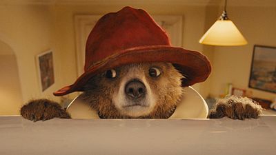image de la news L'Ours Paddington : Colin Firth ne doublera pas l'ours péruvien