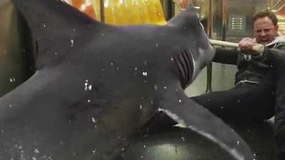 image de la news Sharknado 2 : un carton télé et une suite en préparation