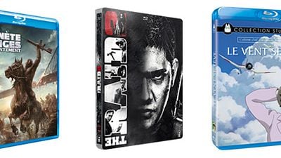 image de la news Le Vent se lève, The Raid 2, La Planète des singes... Les 10 Blu-rays / DVD à se procurer d'urgence en novembre