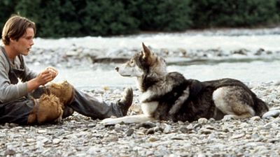 image de la news Croc blanc : Disney prépare un remake !