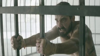 image de la news Shia LaBeouf mis en cage pour le nouveau clip de Sia !