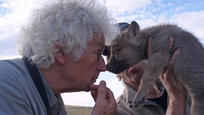 image de la news Jean-Jacques Annaud : le défi de tourner avec des loups