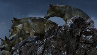 image de la news Jean-Jacques Annaud raconte la scène la plus difficile à tourner de sa vie