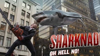 image de la news Sharknado 3 : pluie de requins prévue pour le 22 juillet !