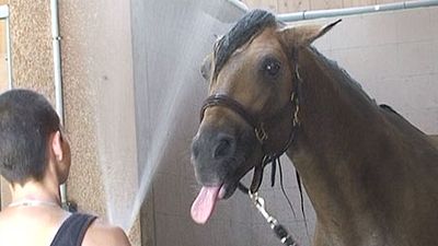 image de la news Bande-annonce Le Caravage : le nouveau film d'Alain Cavalier