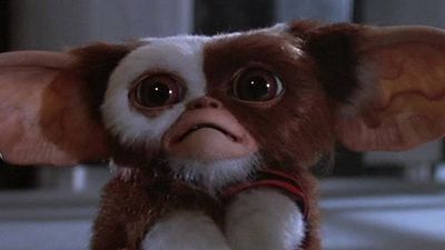 image de la news Non, Gremlins 3 "ne sera pas un remake"