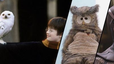 Hibou, Watchmen, Harry Potter : Ramzy et 15 chouettes cultes de cinéma