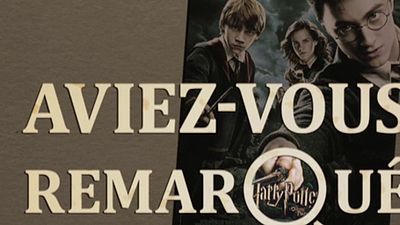 image de la news Aviez-vous remarqué ? Les petits détails cachés de Harry Potter et l'Ordre du Phénix