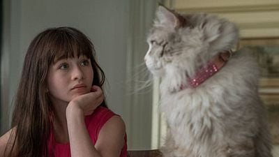 image de la news Des "félins acteurs", Barry Sonnenfeld blessé, Christopher Walken amoureux… "Ma vie de chat" en 6 extraits !