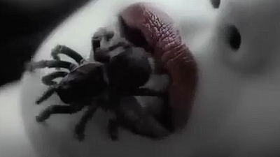 image de la news American Horror Story saison 6 : un teaser à huit pattes !