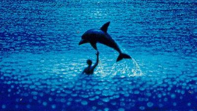 image de la news Mort d'Enzo Maiorca, le plongeur qui a inspiré "Le Grand Bleu"