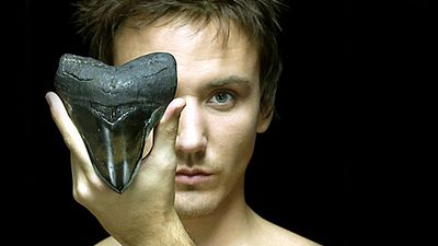 image de la news Disparition en mer de Rob Stewart, réalisateur de Sharkwater et spécialiste des requins