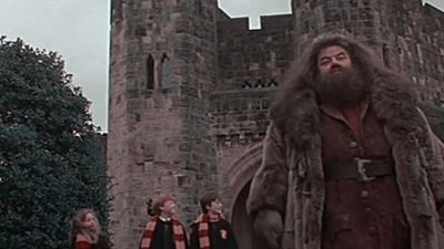 Harry Potter : connaissiez-vous ce trucage sur Hagrid ?