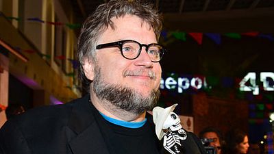 image de la news Festival d'Annecy 2017 : Guillermo del Toro parrain du Mifa Campus