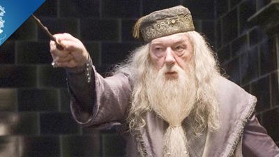Harry Potter : l'incroyable théorie sur Albus Dumbledore