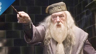 image de la news Harry Potter : l'incroyable théorie sur Albus Dumbledore