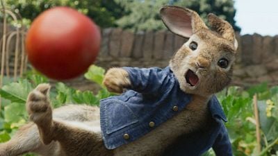 image de la news Sorties cinéma : Pierre Lapin mène l'aventure aux premières séances parisiennes