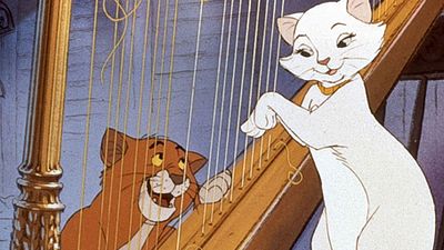 image de la news C'est la journée du chat ! 10 raisons pour lesquelles les chats sont des êtres supérieurs (aux chiens)