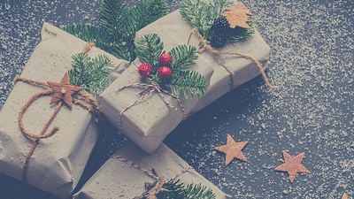 image de la news Livres ciné-séries, jeux, coffrets... Les 19 idées cadeaux de Noël de la Rédac' d'AlloCiné