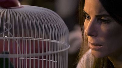 image de la news Bird Box : que cache le titre ? [SPOILERS]