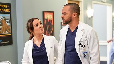 image de la news Grey's Anatomy saison 16 : un ours sème la panique dans le teaser de l'épisode 14