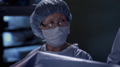 image de la news Grey's Anatomy sur TF1 : quelle actrice est une véritable infirmière ?
