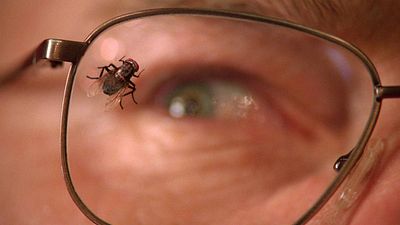 image de la news Coronavirus : 12 épisodes de séries qui ont joué le confinement... ou presque !