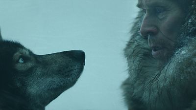 image de la news Togo (Disney+) : l'histoire vraie et méconnue du chien du film