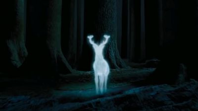 image de la news QUIZ Harry Potter : à quels sorciers correspondent ces Patronus ?