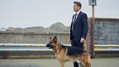 image de la news Hudson et Rex sur France 3 : que vaut le reboot moderne de Rex chien flic ?