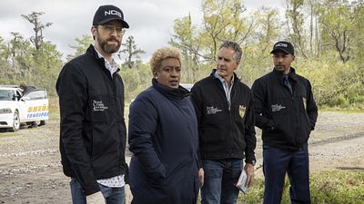 image de la news NCIS Nouvelle-Orléans : la série s'arrête après 7 saisons