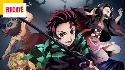 image de la news Demon Slayer : à partir de quel âge peut-on voir la série animée ?