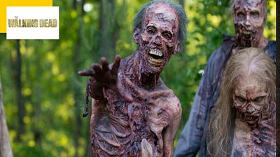 image de la news The Walking Dead : l’origine des zombies enfin expliquée... et la France est responsable !