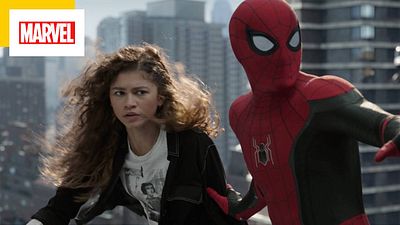 image de la news Spider-Man : quel record détenait No Way Home avant même sa sortie ?