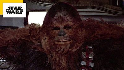image de la news Chewbacca a-t-il des dents dans le popotin ? Cette rumeur qui agite les réseaux sociaux